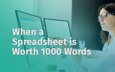 When a Spreadsheet is Worth 1000 Words