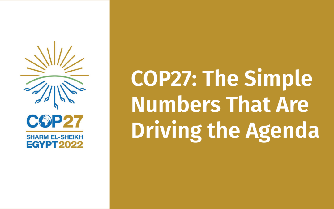 COP27: The Simple Numbers That Are Driving the Agenda