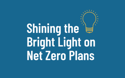 Shining the Bright Light on Net Zero Plans