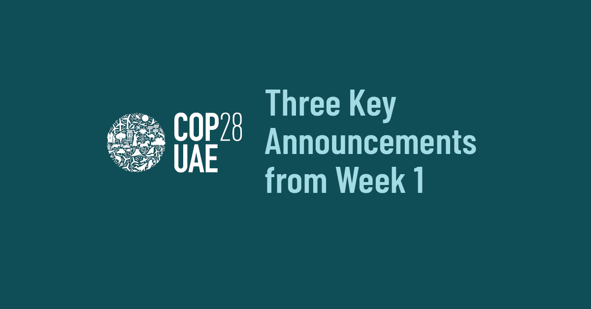 COP28: Three Key Announcements from Week 1